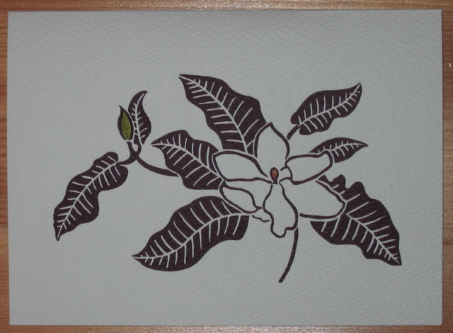 umbrella magnolia.jpg