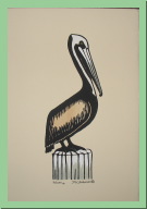 pelican.JPG
