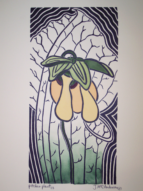 pitcher plant.jpg