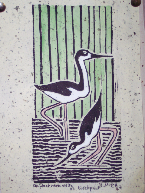 sm black necked stilts.jpg